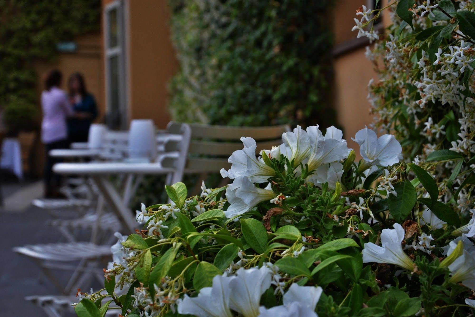 Hotel Capo D'Africa - Colosseo Rome Exterior photo